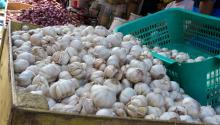 Harga Bawang Putih di Lingga Merangkak Naik
